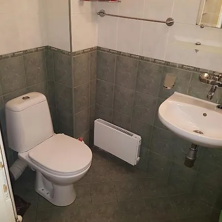 Pirotska Gn / Free Garage