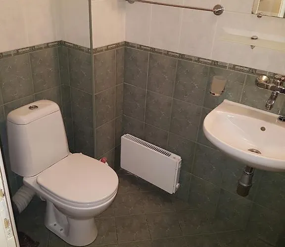 Pirotska Gn / Free Garage